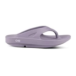 Sandals Outlet -Sandals Outlet 2 54821.1652374175