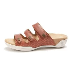 Hälsa Footwear Women's Delight - Brown 7 Hälsa Footwear Women's Delight - Brown -Sandals Outlet E 97414.1619806818